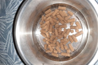 L'intérêt d'humidifier les croquettes